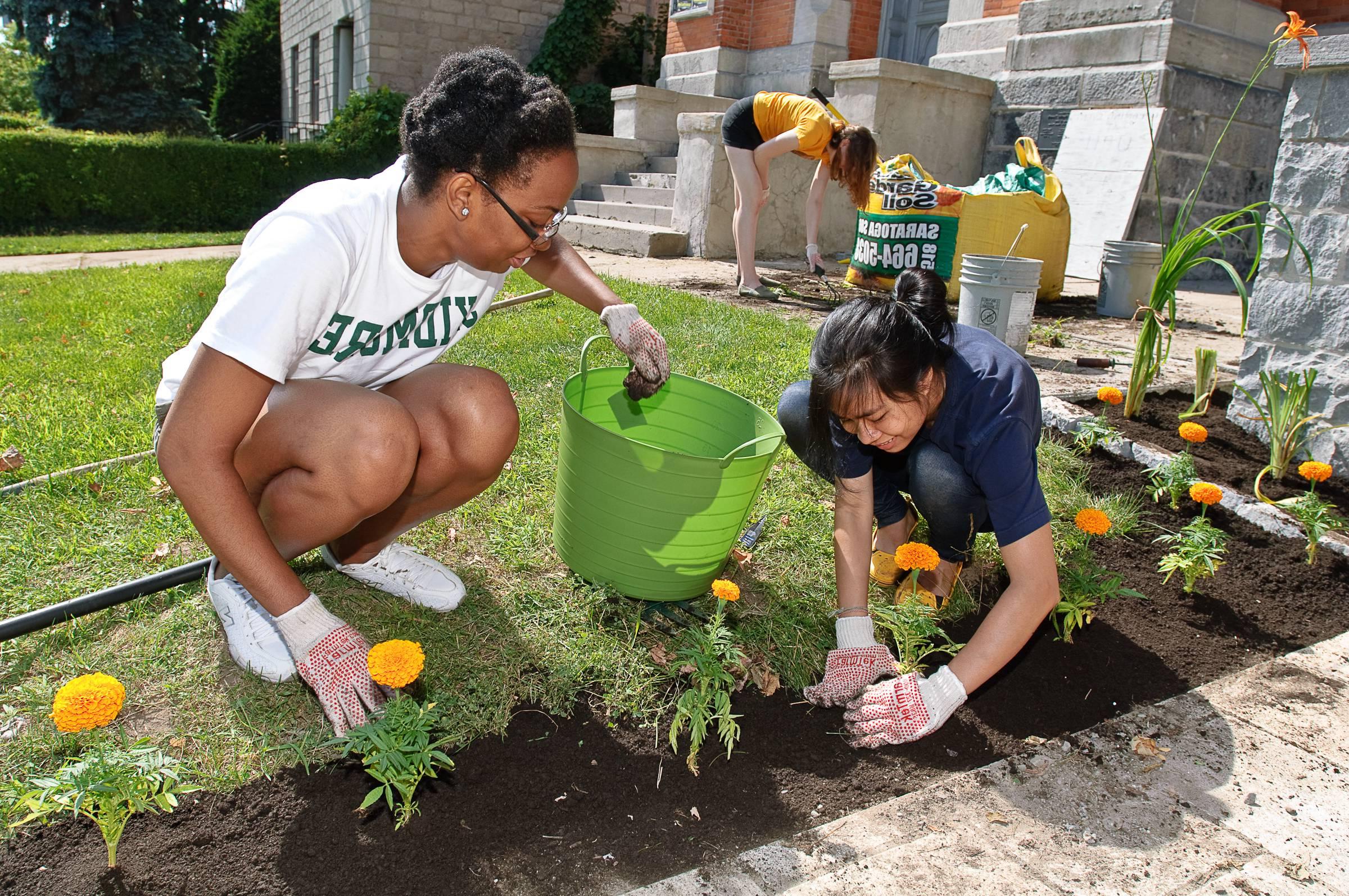 college student volunteers plant a garden