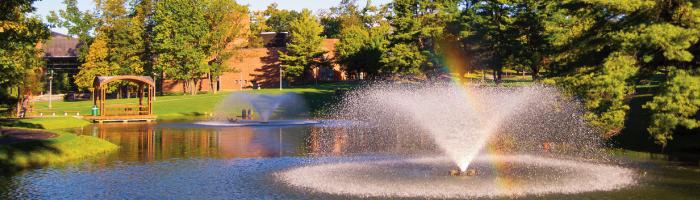 Haupt Pond in the summer